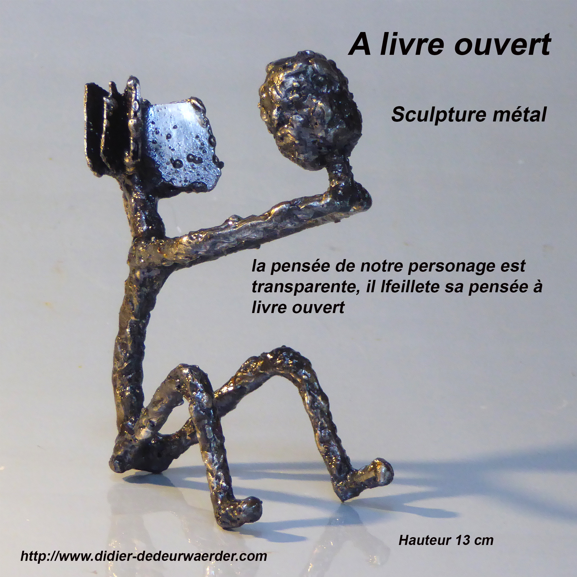 a livre ouvert-didier-dedeurwaerder-02