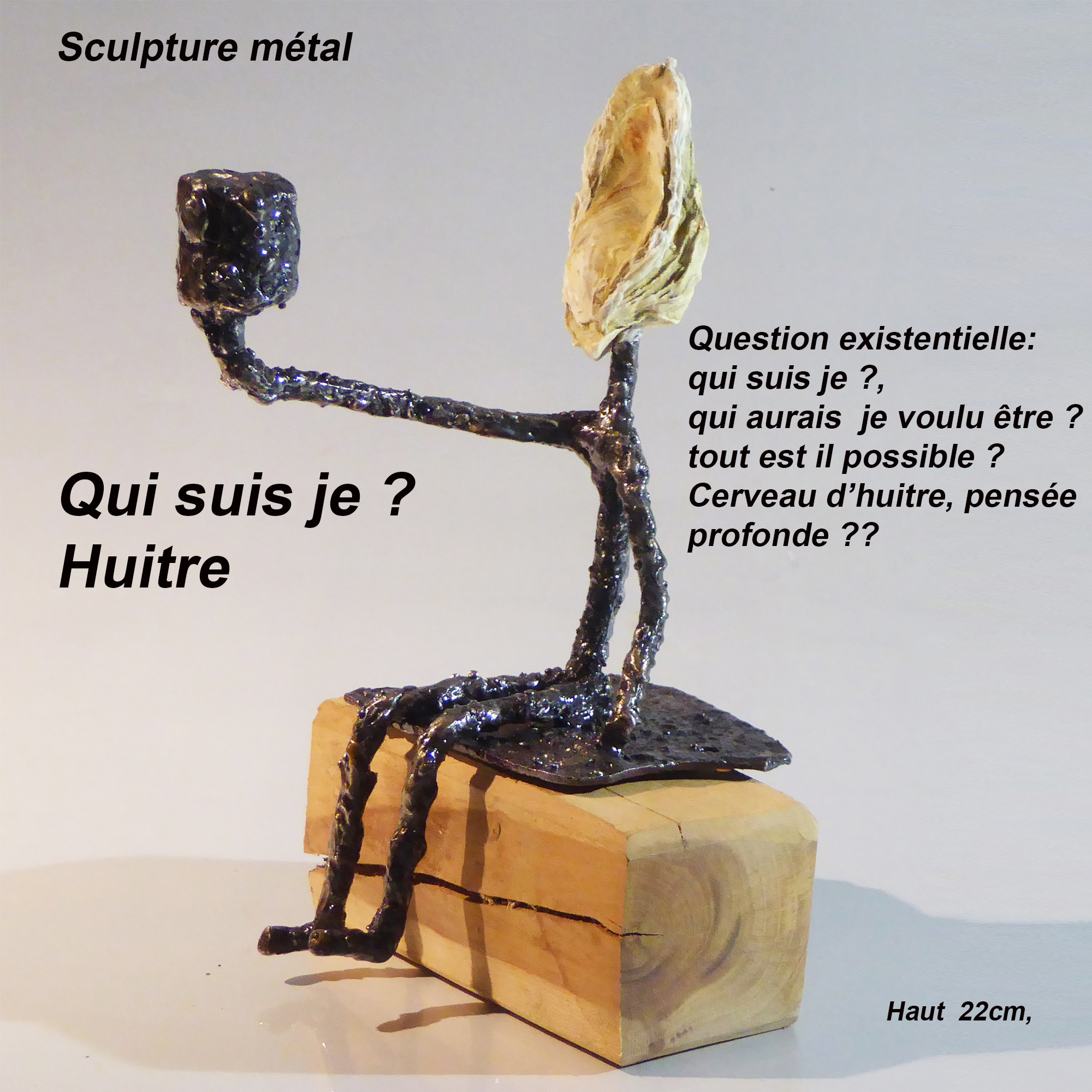 Qui-suis-je-Huitre-Didier-Dedeurwaerder-02