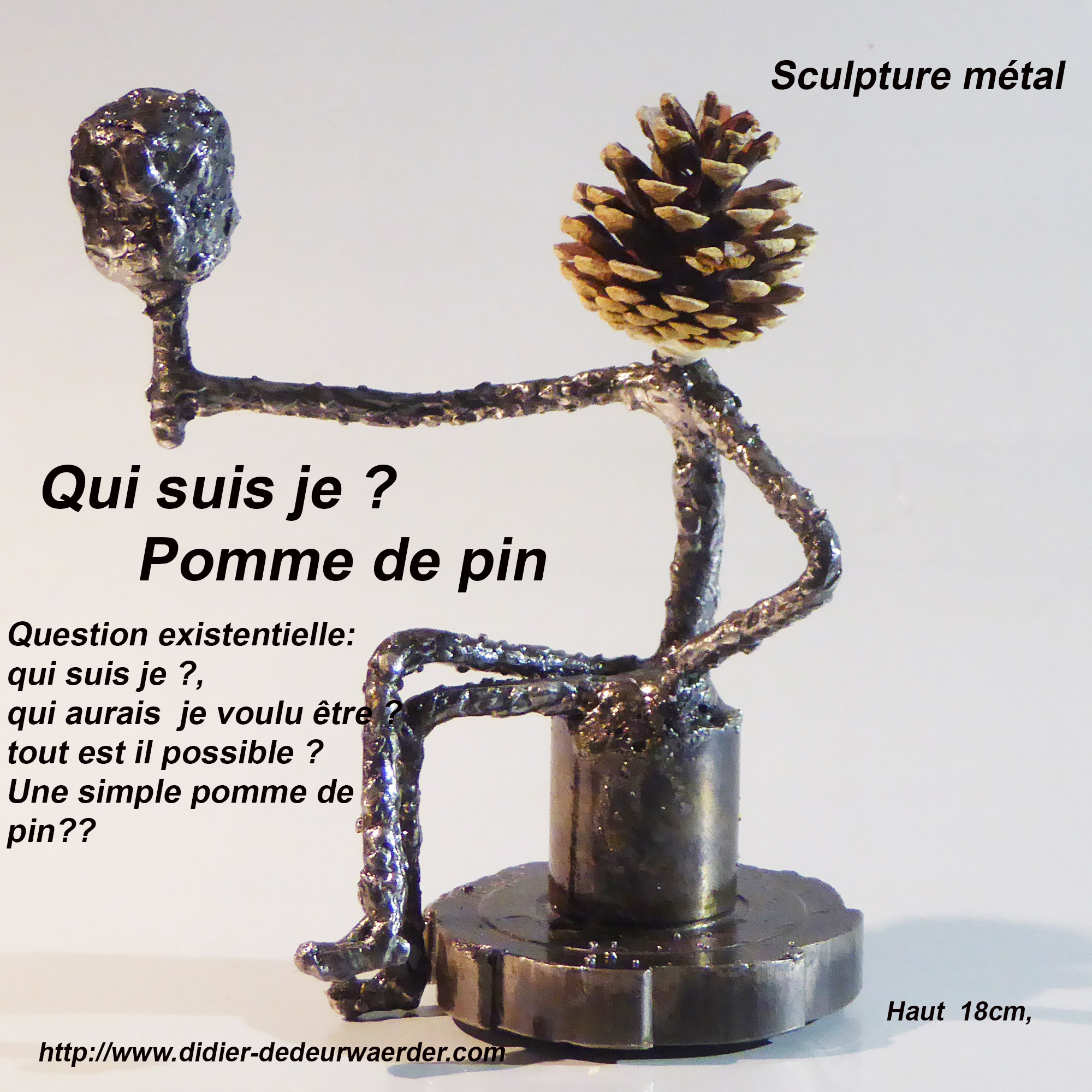 Qui-suis-je-Pomme-de-pin-Didier-Dedeurwaerder-02