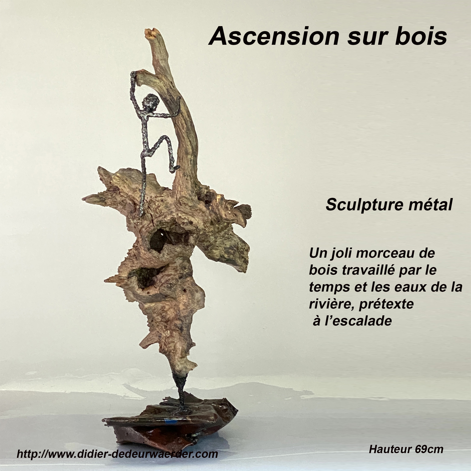 ascension sur bois-didier-dedeurwaerder-02