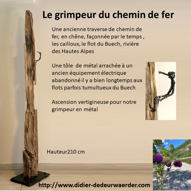 Grimpeur chemin de fer-didier-dedeurwaerder10