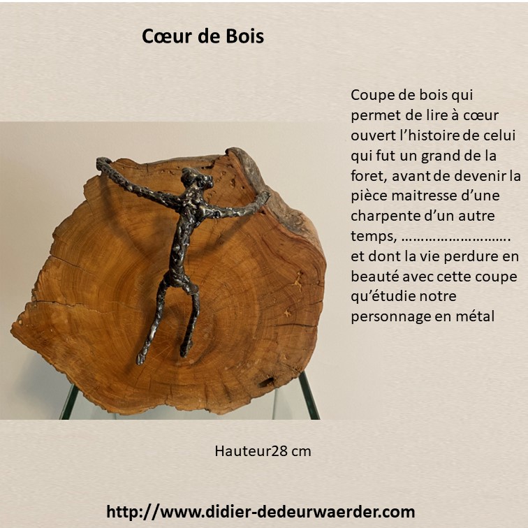 coeur de bois-didier-dedeurwaerder 02